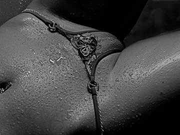 hayleex online webcam